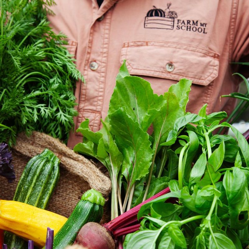 The esplanade hotel queenscliff front door