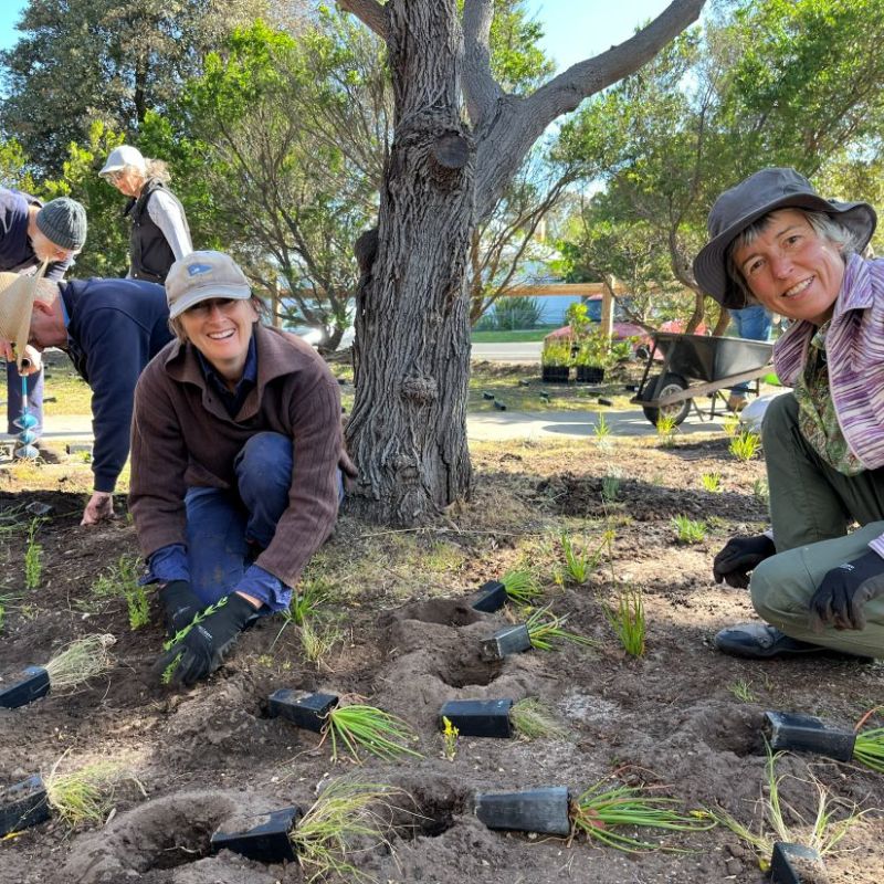 The esplanade hotel queenscliff front door